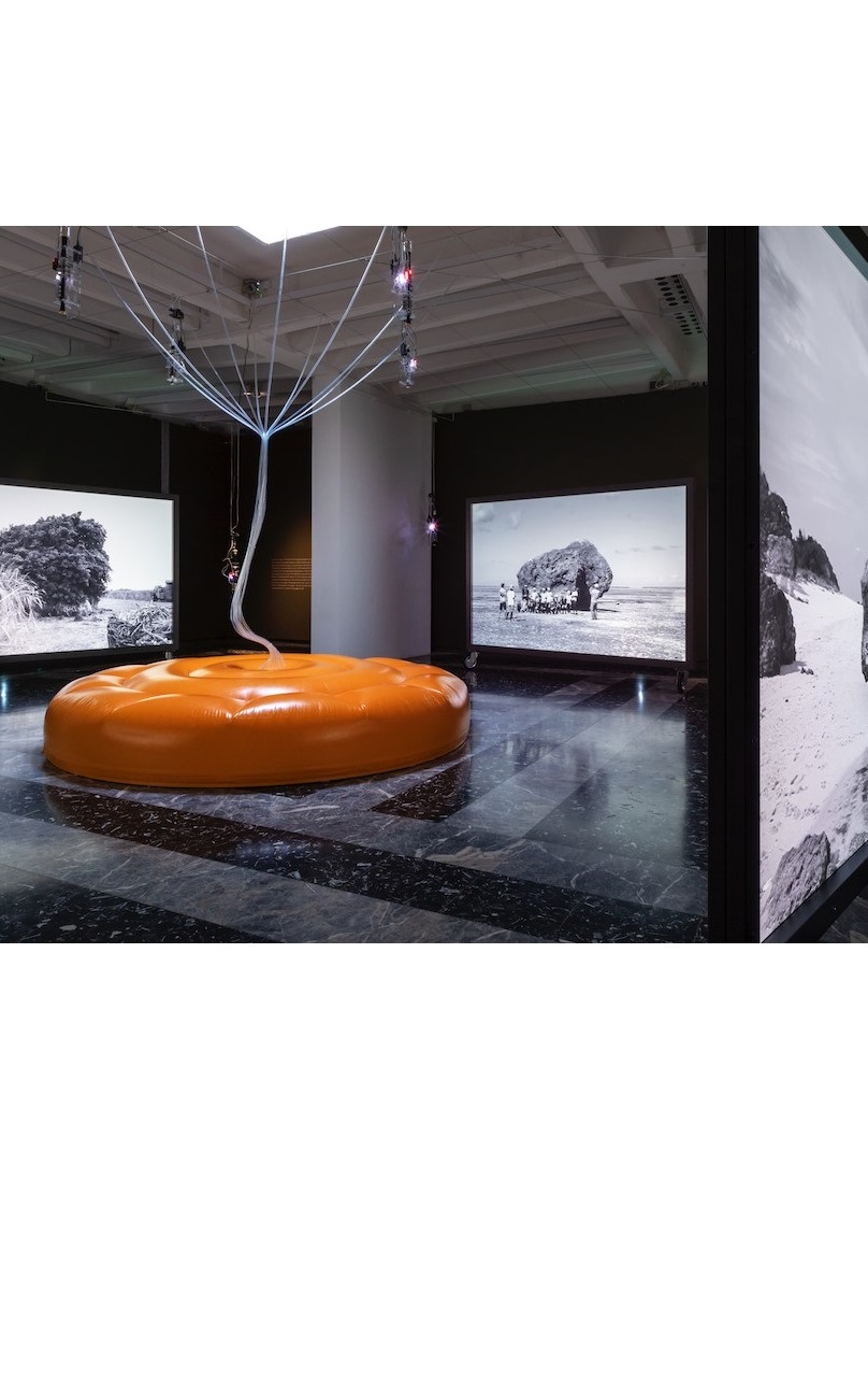 58th La Biennale di Venezia International Art Exhibition | The Japan  Pavilion Official Website - La Biennale di Venezia