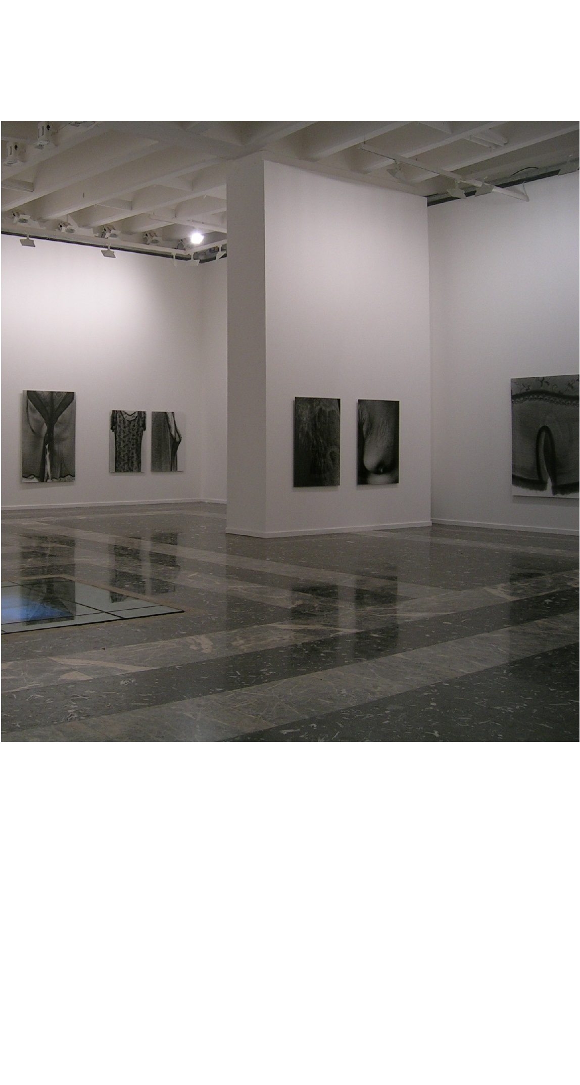 第51回ヴェネチア・ビエンナーレ国際美術展 | ヴェネチア