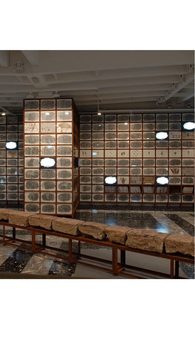 第52回ヴェネチア・ビエンナーレ国際美術展 | ヴェネチア